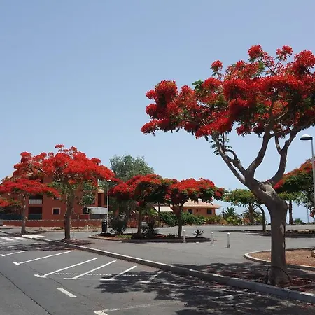 Villa Adeje Villa Tenerife *